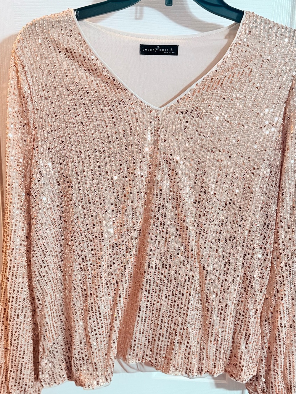 Emery Rose Sequin V-Neck Blouse in Blush